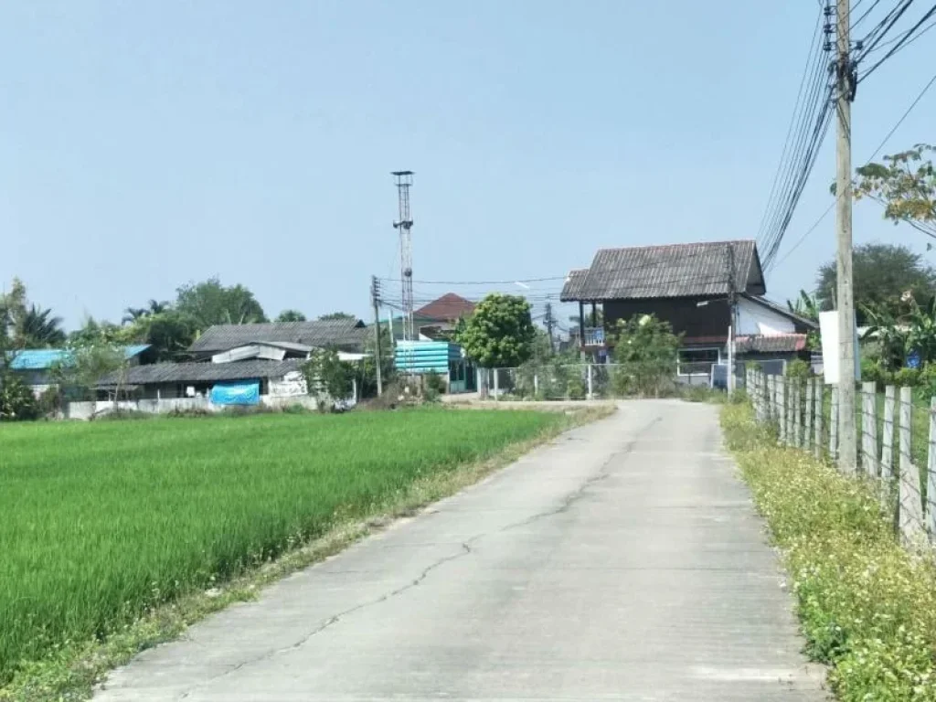 ขายที่ดินหลังโครงการจัดสรร สันโป่ง แม่ริม เชียงใหม่