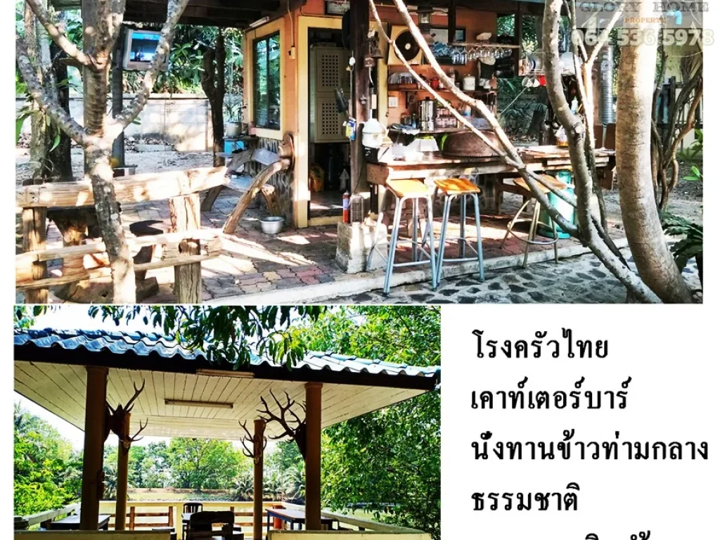 ขายที่ดิน 3 ไร่ 17 ตรวพร้อมบ้านทรงไทยใต้ถุนสูง ที่ทุ่งคอก อสองพี่น้อง จสุพรรณบุรี