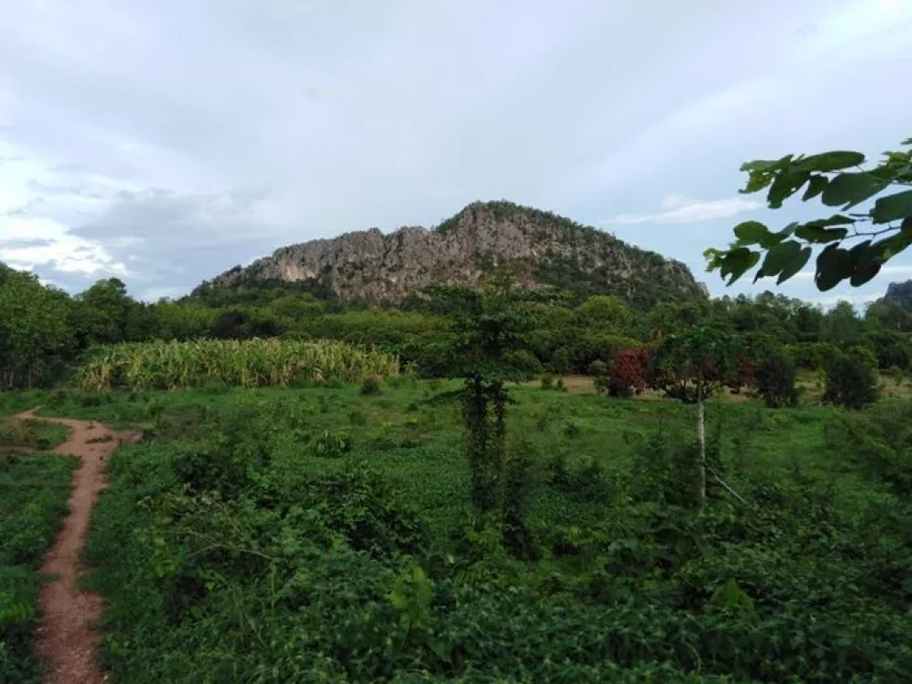 ที่ดินพร้อมบ้านราคาถูก ธรรมชาติสวย ล้อมรอบด้วยขุนเขา จำนวน8ไร่ ทุ่งเสลี่ยม สุโขทัย