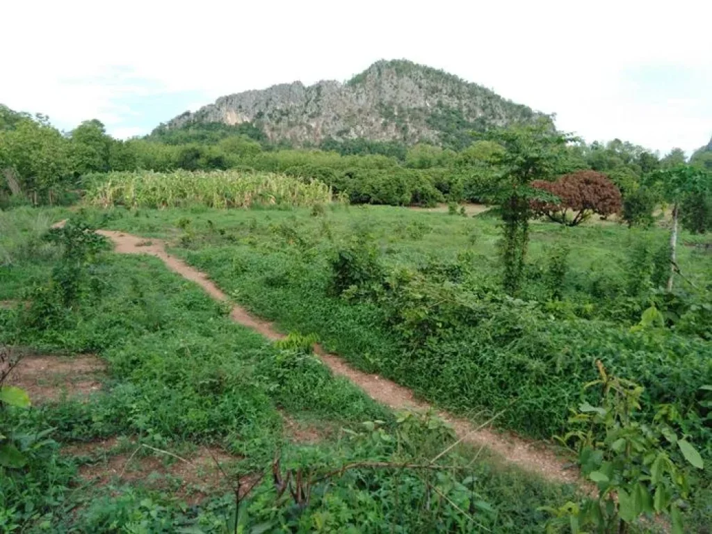 ที่ดินพร้อมบ้านราคาถูก ธรรมชาติสวย ล้อมรอบด้วยขุนเขา จำนวน8ไร่ ทุ่งเสลี่ยม สุโขทัย