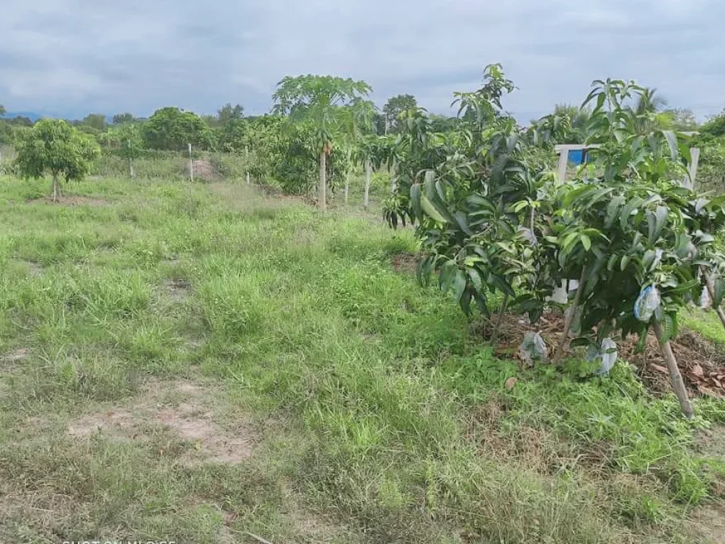 ขายที่ดินน้ำแพร่ วิวดอย ตรงข้าม ปตท น้ำแพร่ ราคาถูก