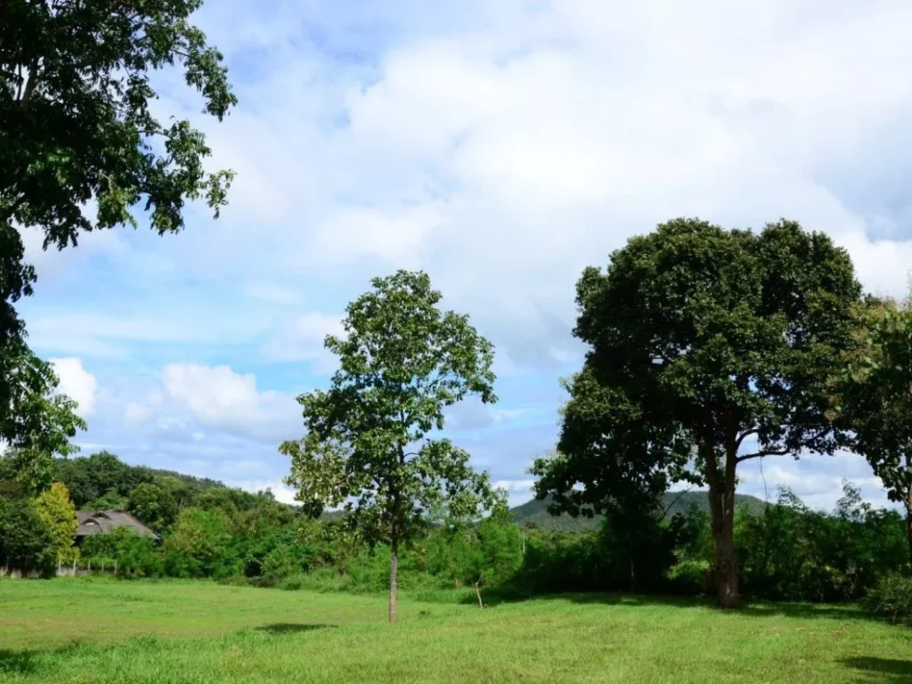 ที่ดินจัดสรร เขตดอยสะเก็ดใกล้เมือง