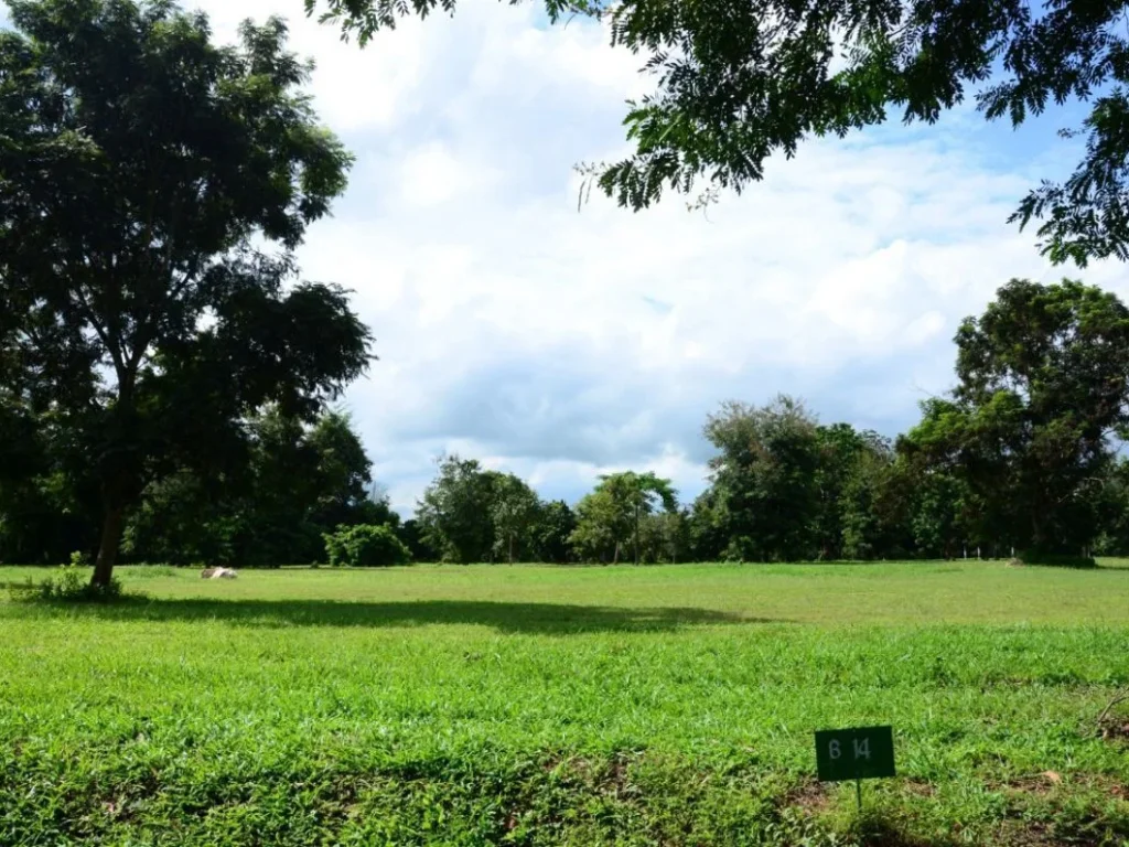 ที่ดินจัดสรร เขตดอยสะเก็ดใกล้เมือง