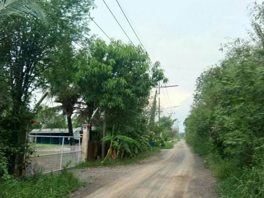 ขายที่ดิน ติดทางคู่ขนานรถไฟความเร็วสูง พร้อมสิ่งปลูกสร้าง