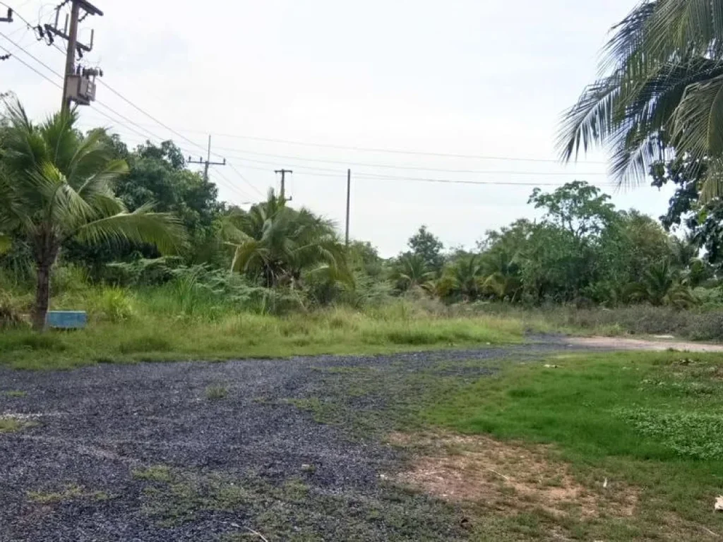 ขายที่ดิน ติดทางคู่ขนานรถไฟความเร็วสูง พร้อมสิ่งปลูกสร้าง