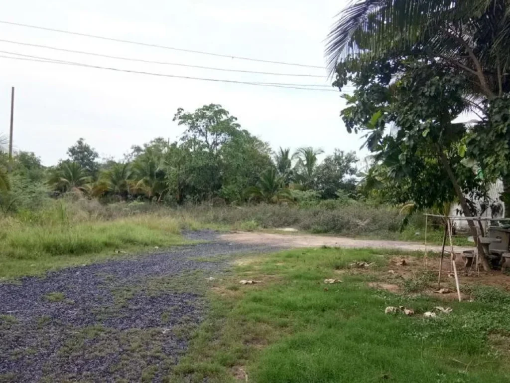 ขายที่ดิน ติดทางคู่ขนานรถไฟความเร็วสูง พร้อมสิ่งปลูกสร้าง