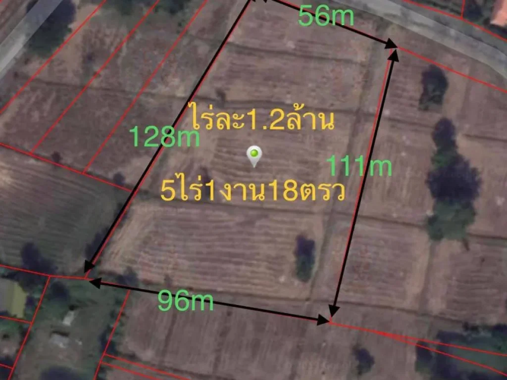 ขายที่ดินหลังโรบินสันบุรีรัมย์ 5ไร่1งาน