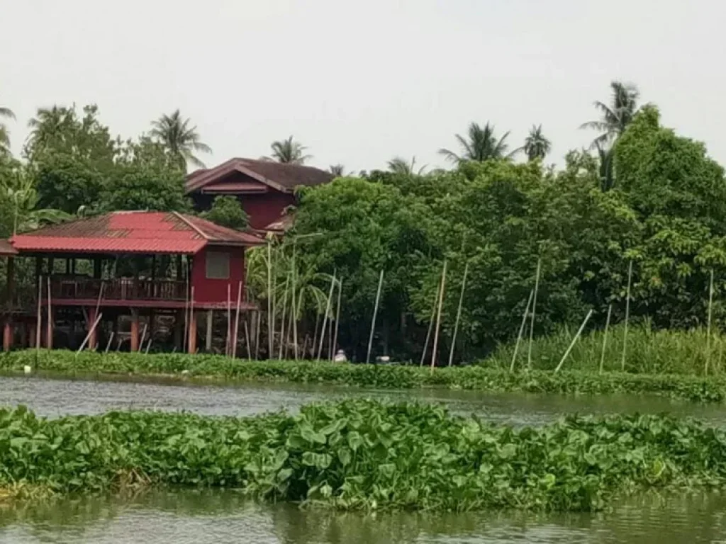 ขาย ที่ดินติดแม่น้ำท่าจีน ตรงข้ามตลาดดอนหวาย