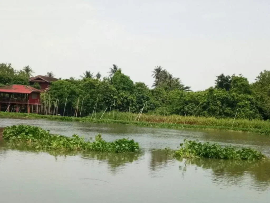 ขาย ที่ดินติดแม่น้ำท่าจีน ตรงข้ามตลาดดอนหวาย