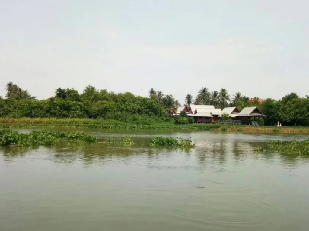 ขาย ที่ดินติดแม่น้ำท่าจีน ตรงข้ามตลาดดอนหวาย