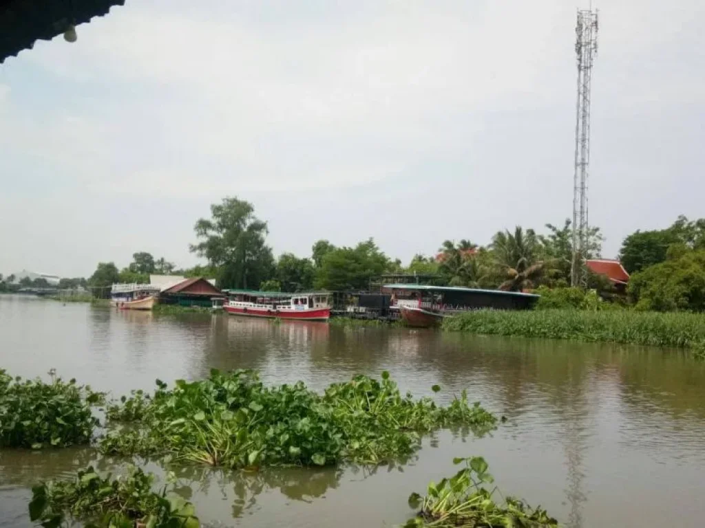 ขาย ที่ดินติดแม่น้ำท่าจีน ตรงข้ามตลาดดอนหวาย