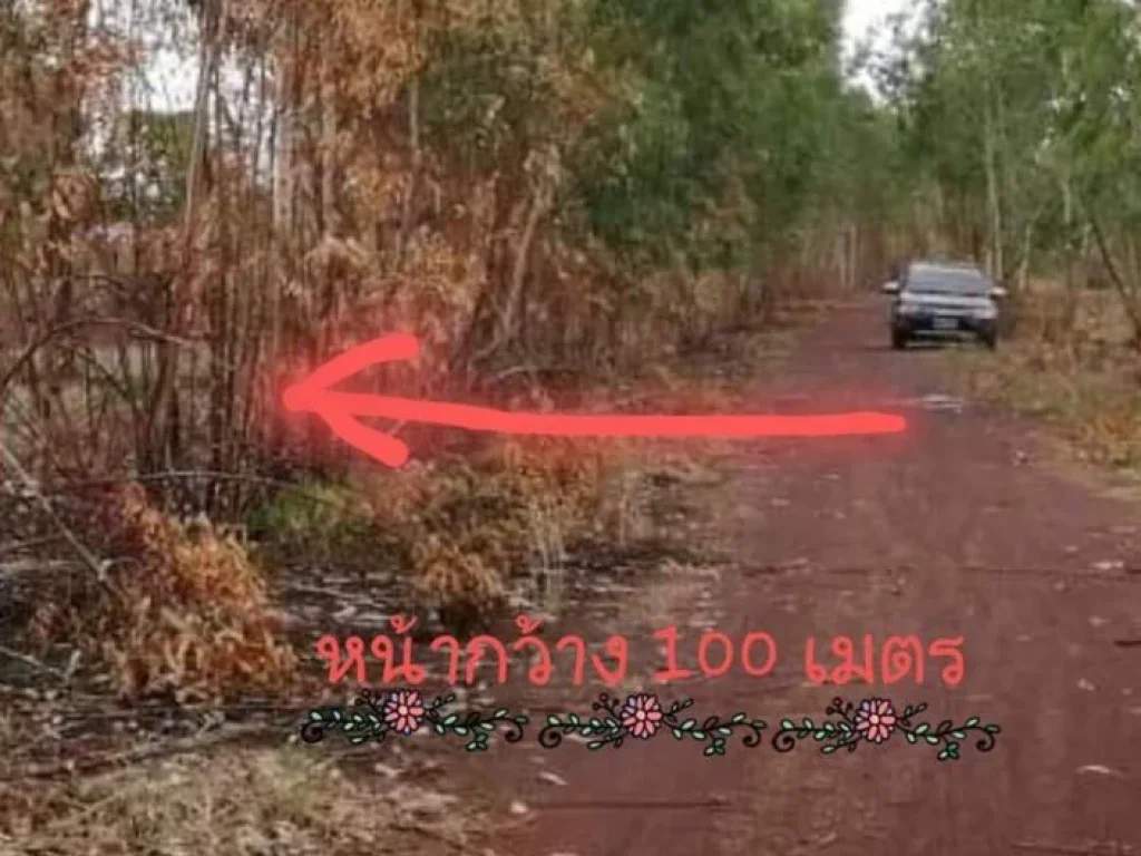 ขายที่ดิน 7-3-69 ไร่ ตสร้อยพร้าว อหนองหาน จอุดร