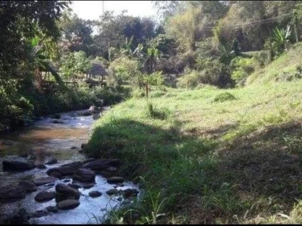 ขายที่ดินติดลำเหมืองน้ำตกแม่สา ยาว 200 เมตร