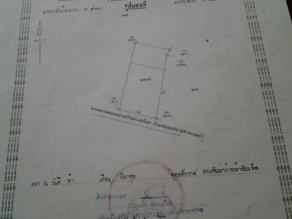 ขายที่ดินในอำเภอปาย จังหวัดแม่ฮ่องสอน 1 ไร่ ห่างจากตัวเมืองปายแค่4กิโลเมตร