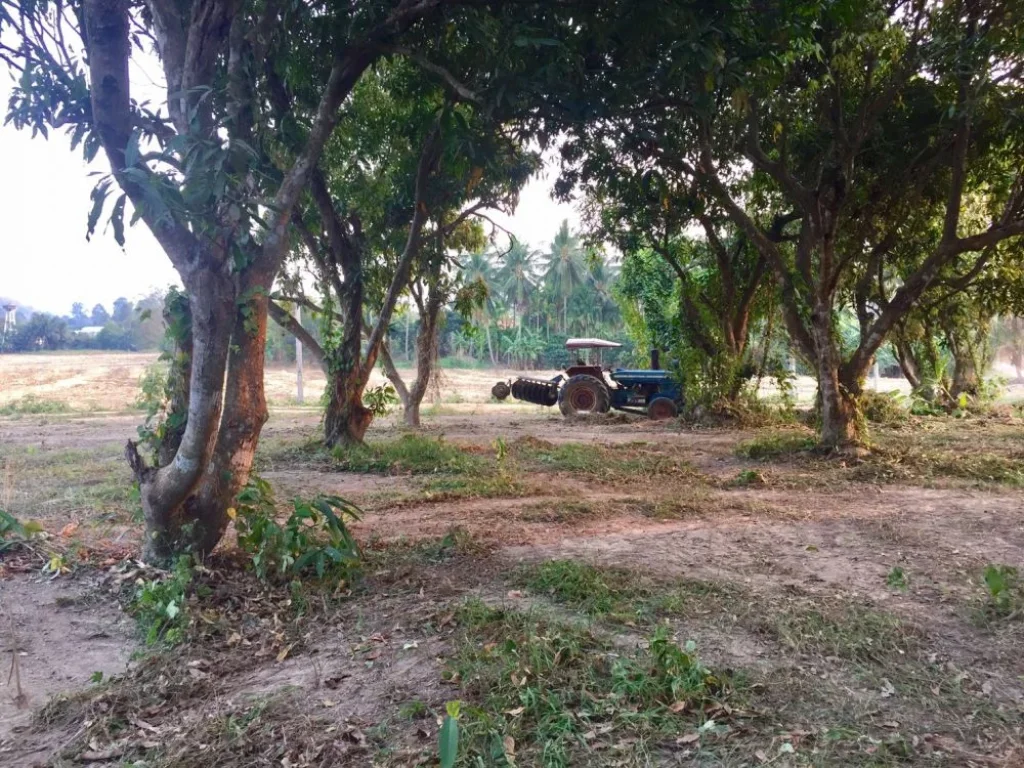 ที่ดิน 100 ตรว สวนมะม่วง วิวภูเขา ใกล้โรงพยาบาล อบ้านไร่ จอุทัยธานี