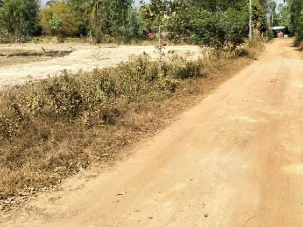 ขายที่ดิน บริเวณหมู่บ้านหนองโศกดาว ตโนนสูง อเมือง จอุดรธานี