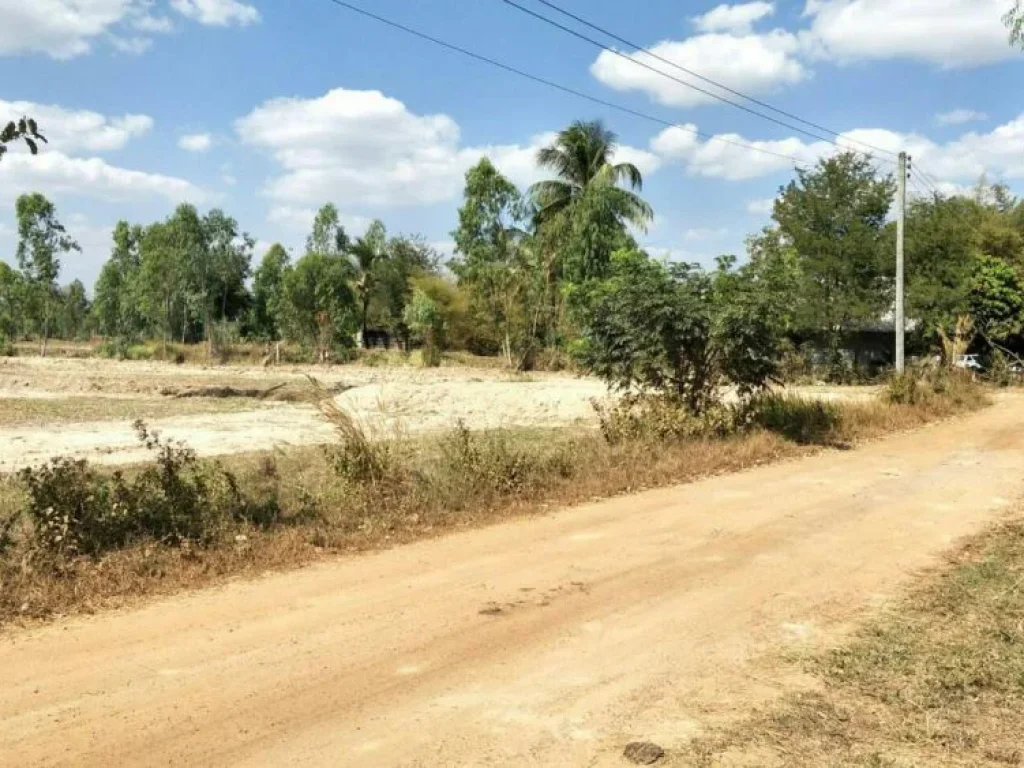 ขายที่ดิน บริเวณหมู่บ้านหนองโศกดาว ตโนนสูง อเมือง จอุดรธานี