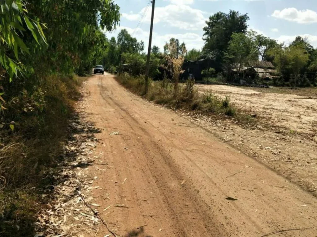 ขายที่ดิน บริเวณหมู่บ้านหนองโศกดาว ตโนนสูง อเมือง จอุดรธานี