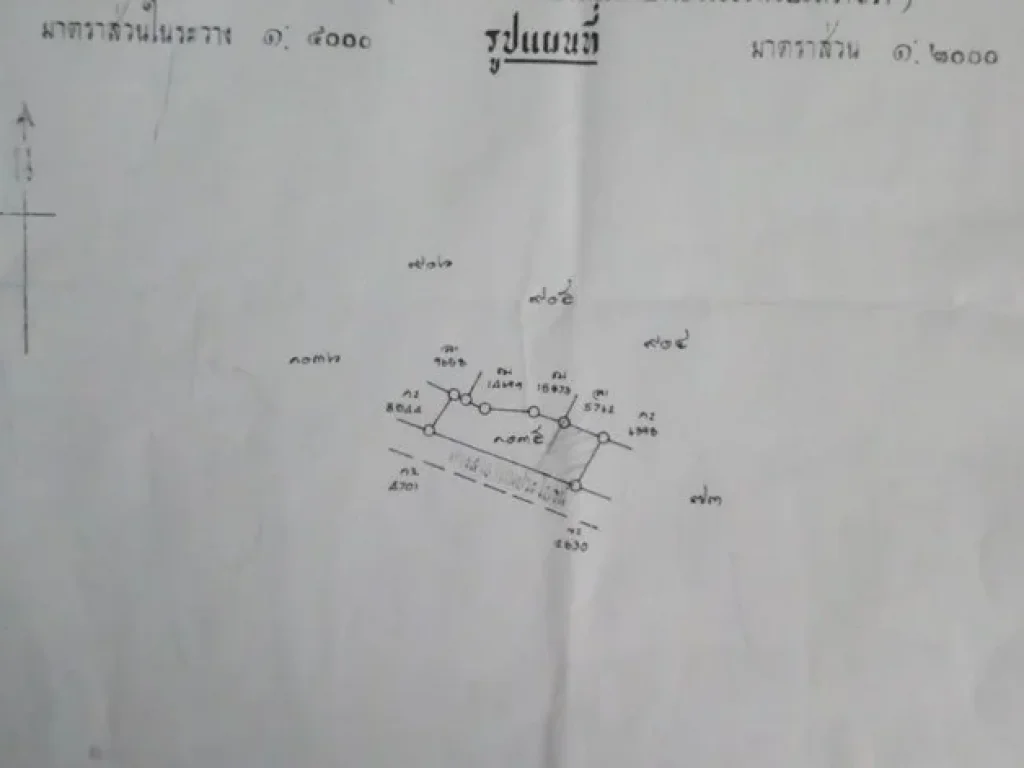 ที่ดิน 1332 ตรว ซข้างวัดตาขัน ตตาขัน อบ้านค่าย จระยอง