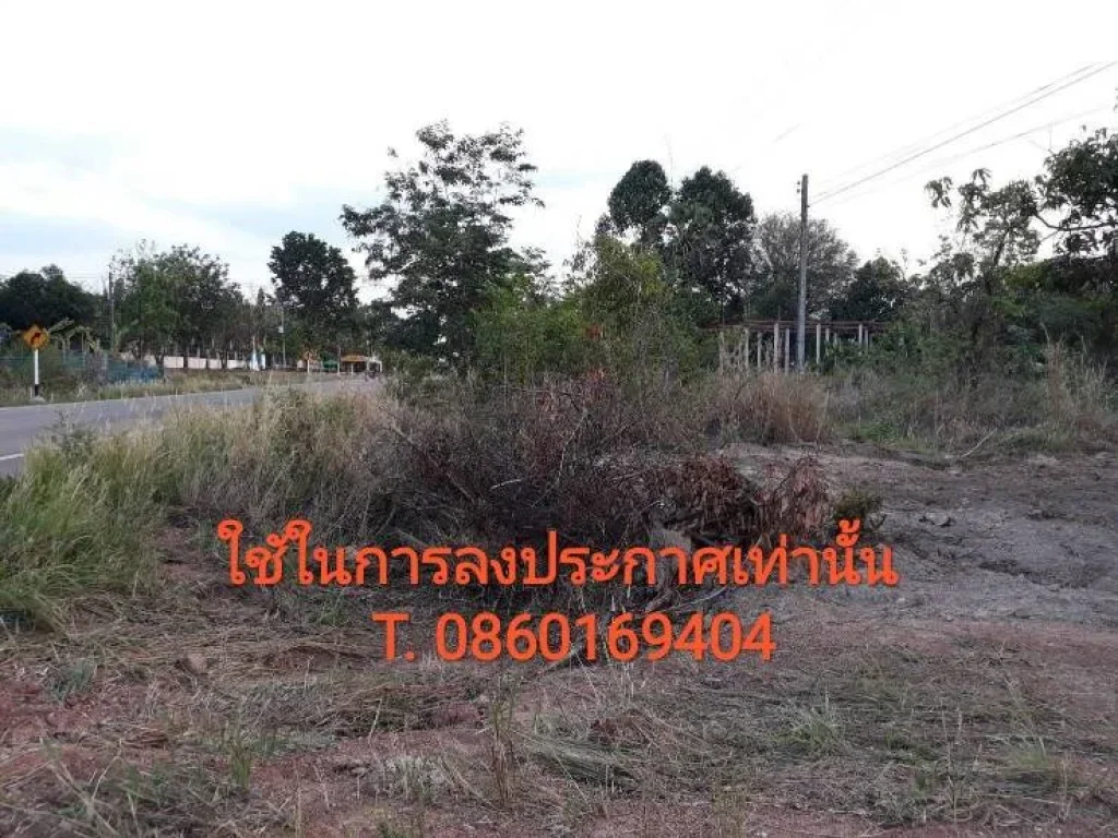 ที่ดินมีโฉนด ติดถนนลาดยาง อบ้านม่วง จสกลนคร