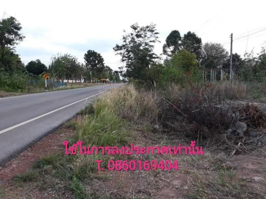 ที่ดินมีโฉนด ติดถนนลาดยาง อบ้านม่วง จสกลนคร