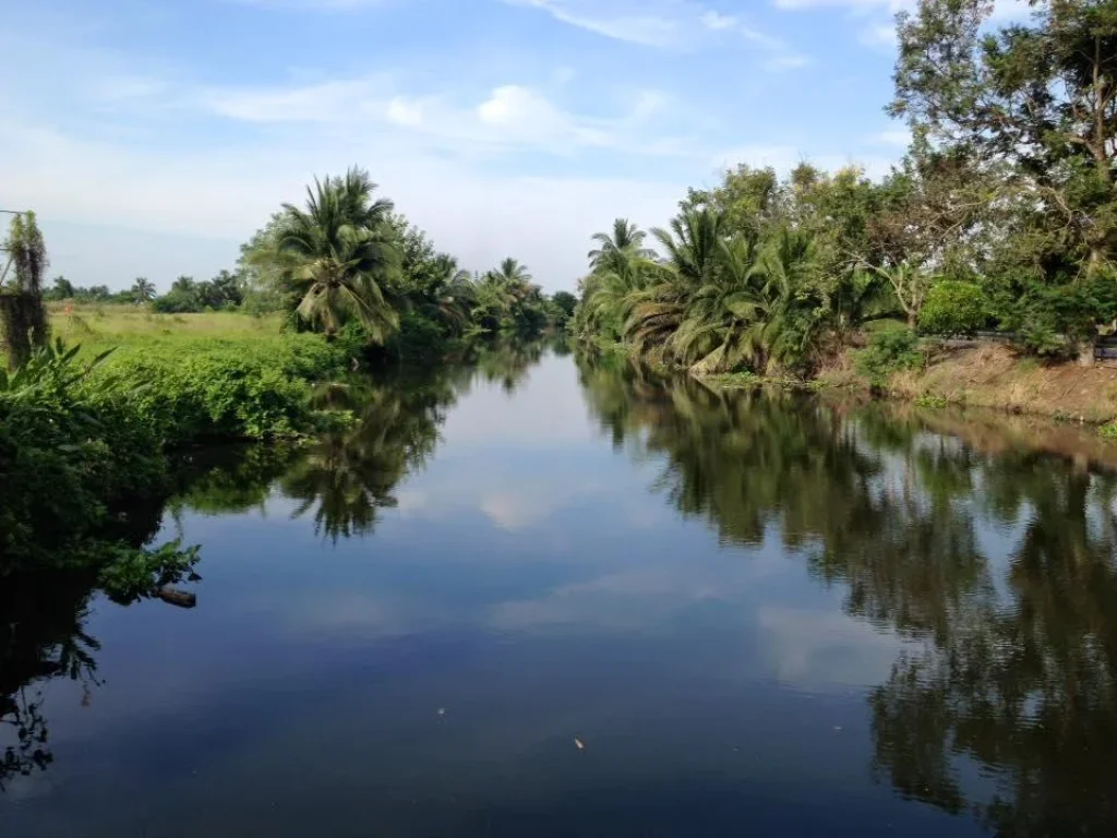 ขายถูก ที่ดินบ้านแพ้ว ติดคลอง 2ด้าน ติดถนนราดยาง 200ไร่