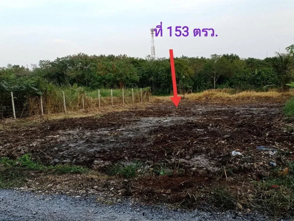 ที่สวย 153 ตรว คลองสิบสองสช หนองจอก 790000 บาท อยู่ในชุมชนน้ำไฟสะดวกเลย