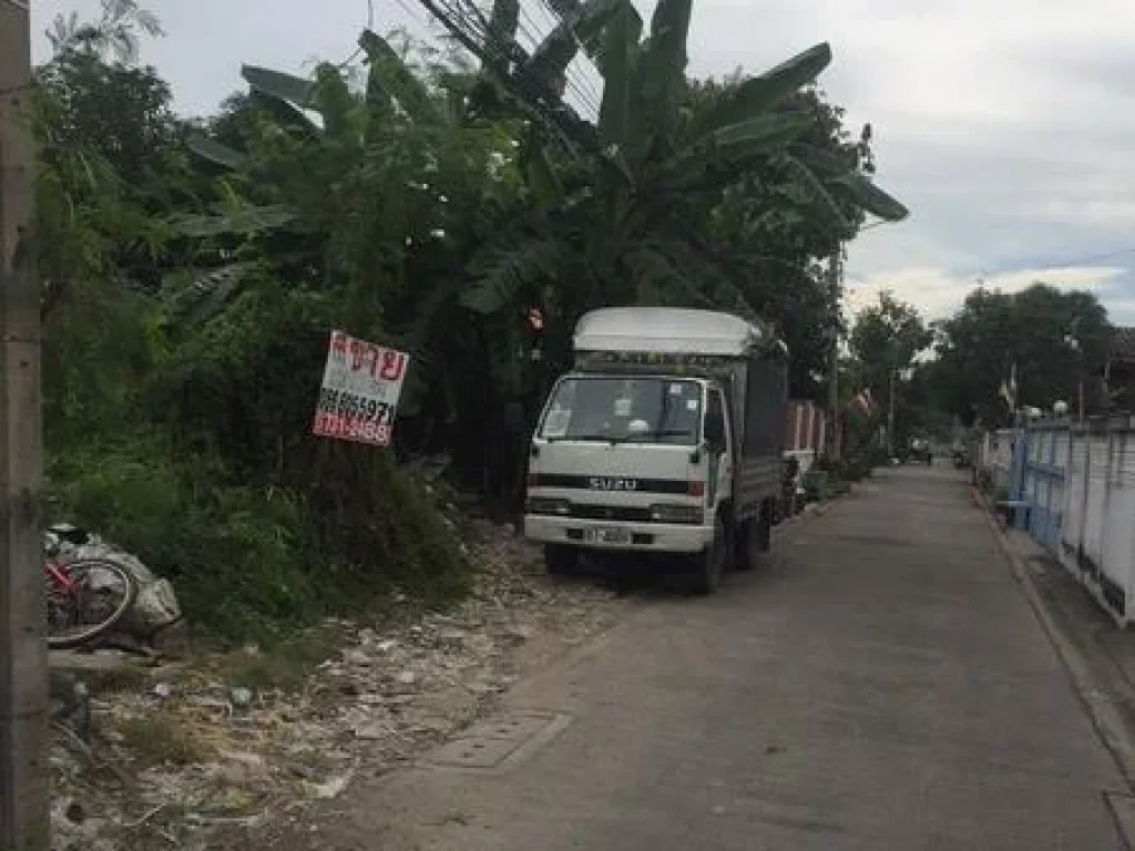 ขายที่ดิน115ตรวซอยสุขาประชารังสรรค์63สมถวิล