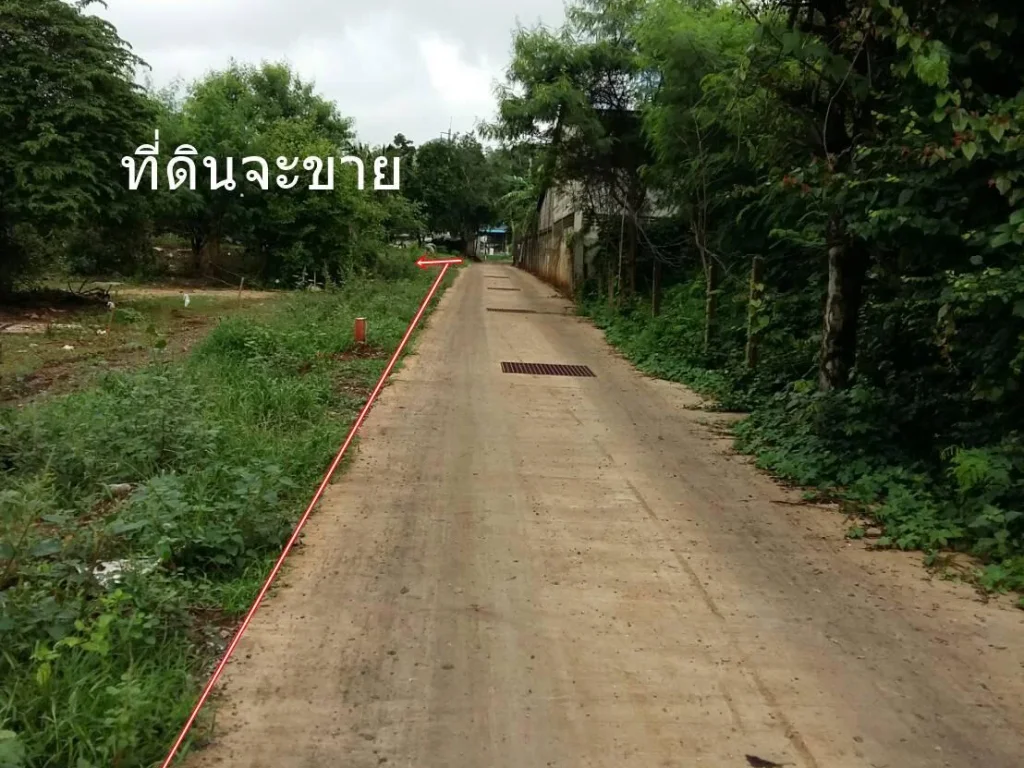 ขายที่ดิน 1ไร่ครึ่งเหมา16 ล้านตหน้าพระลานห่างถนนใหญ่200 เมตรย่านโรงงาน เหมาะ ทำหอพัก จัดสรร ปลูกบ้าน