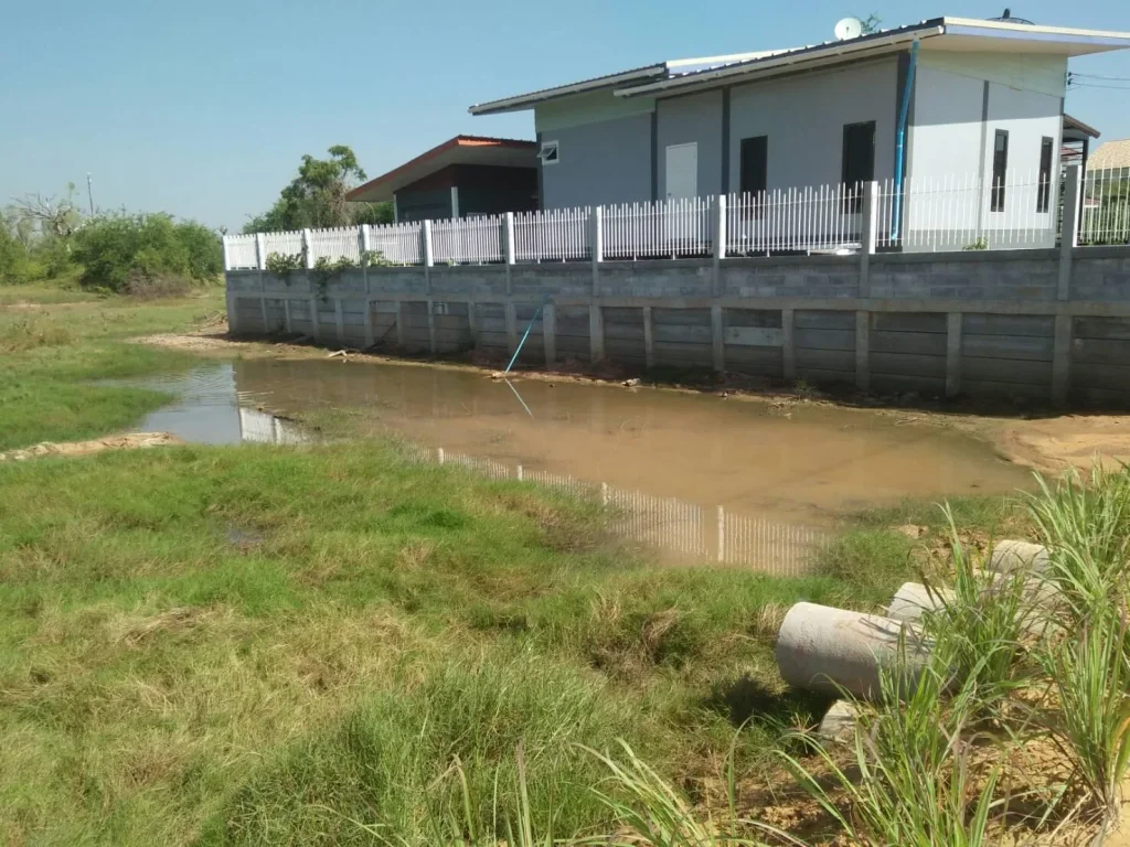 ขายที่ดินเปล่า ใกล้ถนน มะลิวัลย์