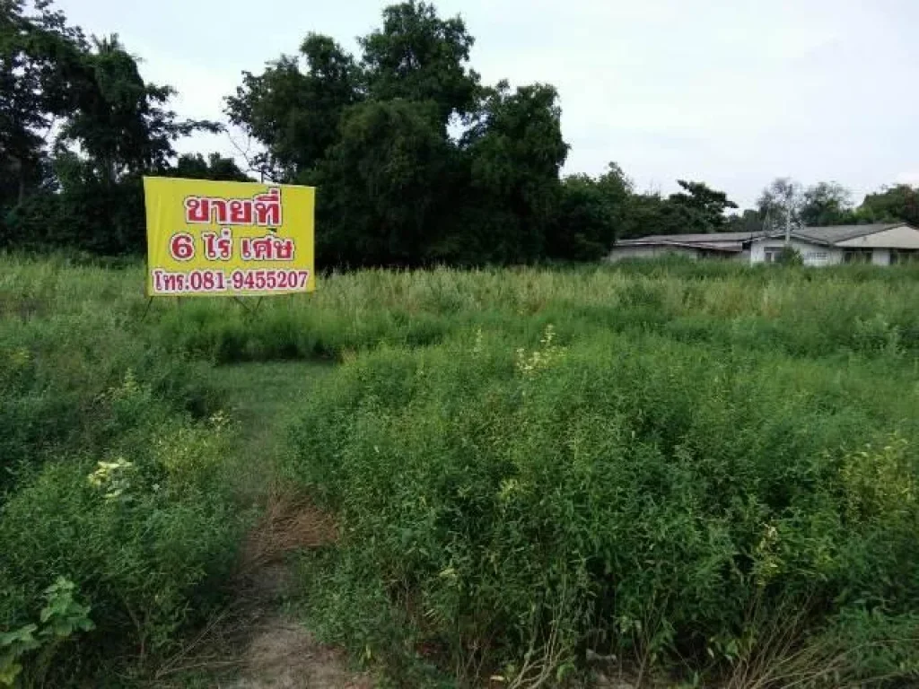 ขายที่ดิน 6 ไร่เศษ ต นาป่า