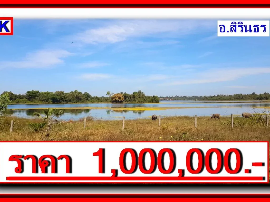 PK ปรับลดเหลือ 750000- ที่ดินเปล่าริมน้ำ อสิรินธร จอุบลราชธานี วิวสวยเหมาะทำบ้านพักตากอากาศ