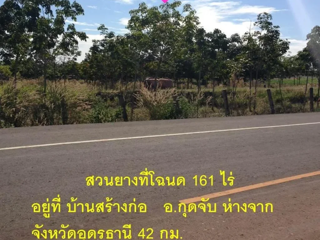 สวนยาง 161 ไร่