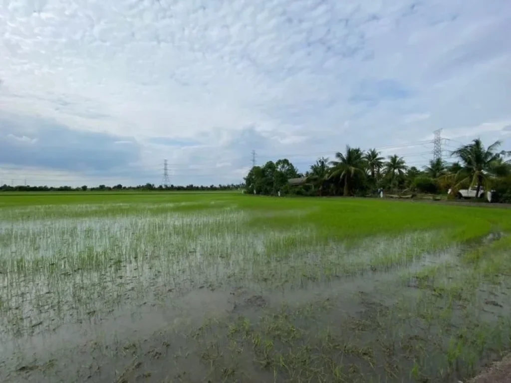 ขายถูกมาก ที่ดินใกล้วัดใหม่เจริญราษฎร์ 4 ไร่ ติดถนนเลียบคลอง