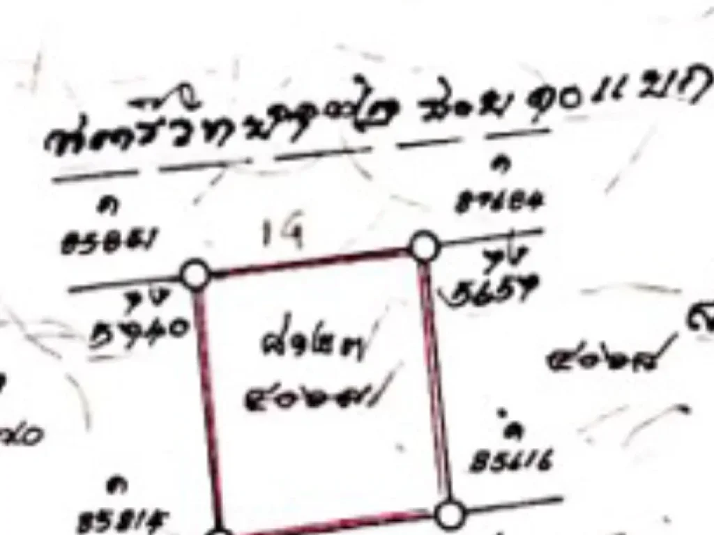 ที่ดินสวย 100 ตรว ในซอยสตรีวิทย์ 2 เหมาะที่จะปลูกบ้านและทำออฟฟิศ