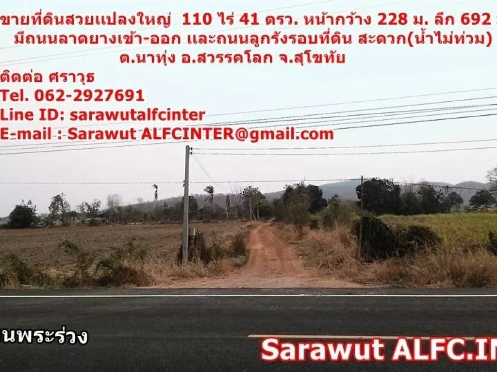 Land for sale in Sawankalok Sukothai province LOOKING FOR INVESTOR 