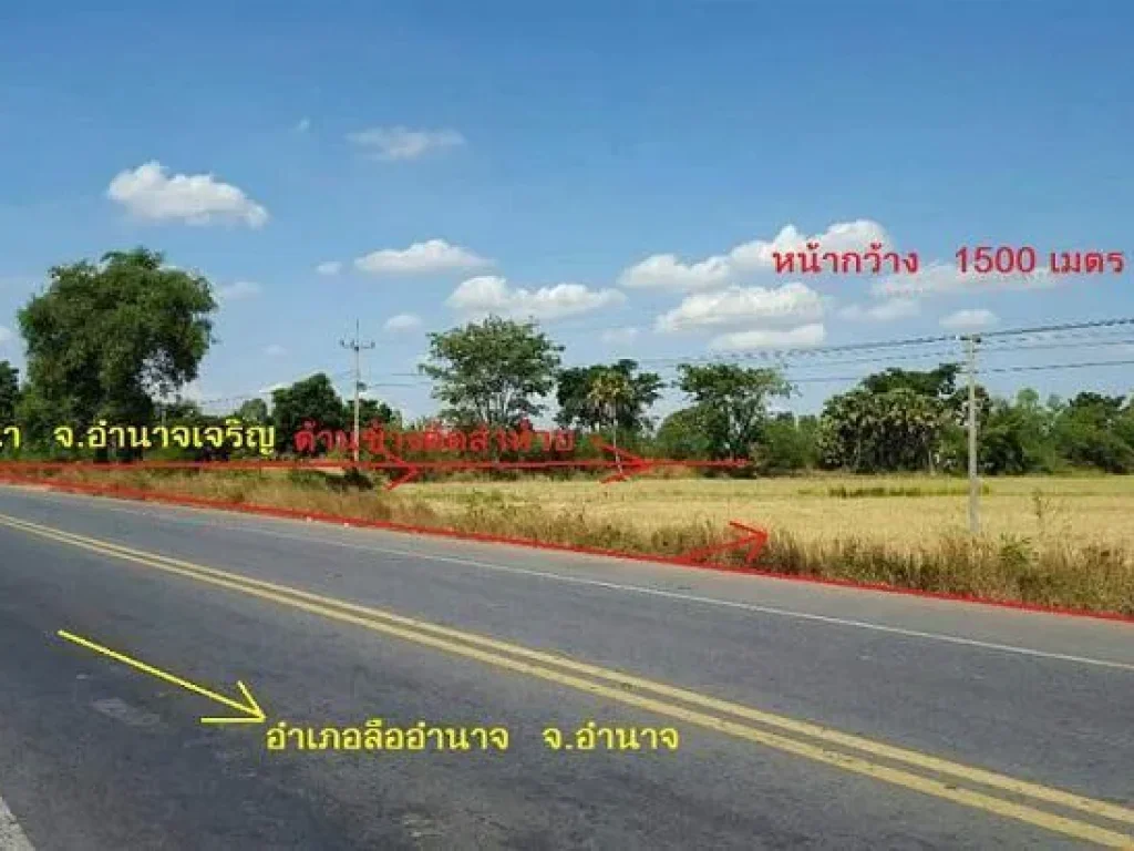 ที่ดินตเปือย อ ลืออำนาจ 5ไร่ สองงาน ขาย 400000