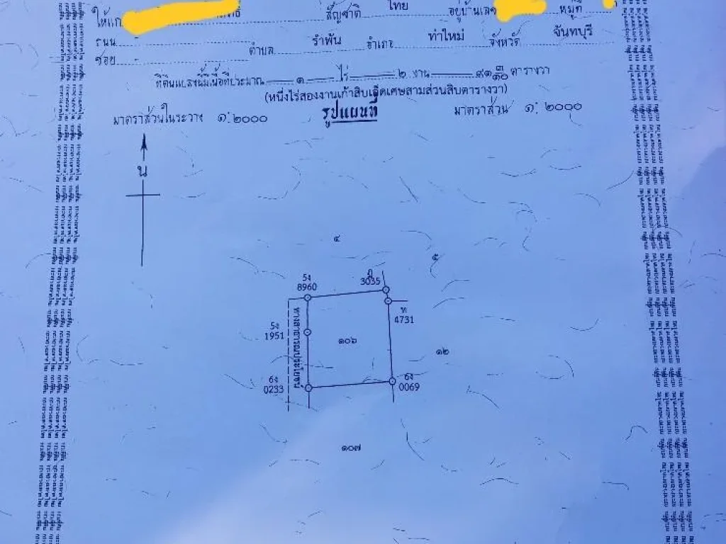 ขายที่ว่างป่าว ปลูกทุเรียนได้