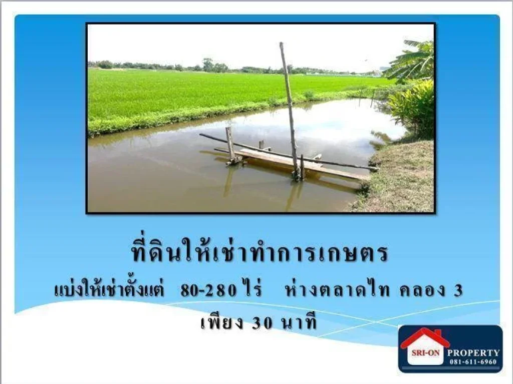 ที่ดินสวยให้เช่า ทำการเกษตร ขนาด 280 ไร่