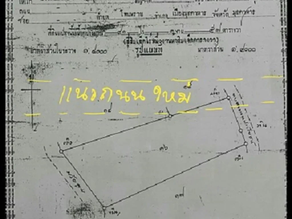 ขายที่ดิน41ไร่ ติดแนวถนนสี่เลนส์ใหม่โพนทราย-สะพานมิตรภาพ