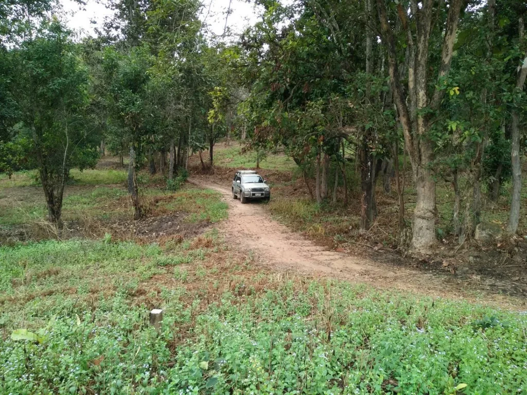 ขายที่ดินเชียงใหม่ ดอยสะเก็ด เนื้อที่ 3 ไร่ เจ็ดแสนบาท