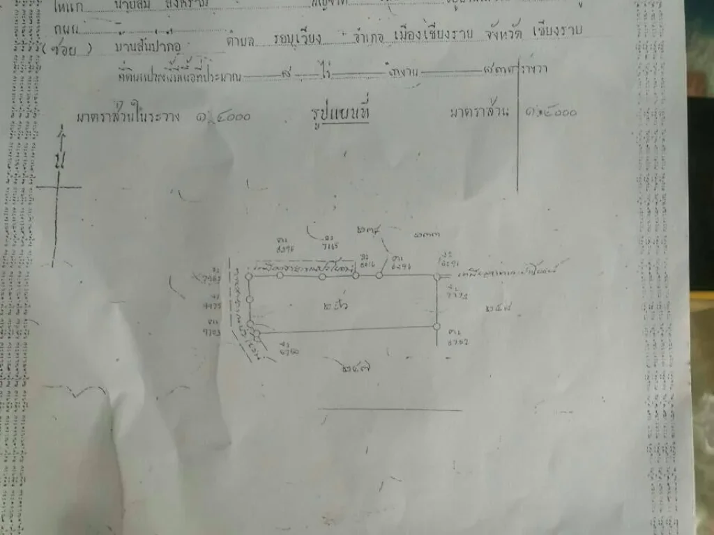 ขายที่ดินเปล่า 8ไร่ 3 งาน 83 ตรว เชียงราย