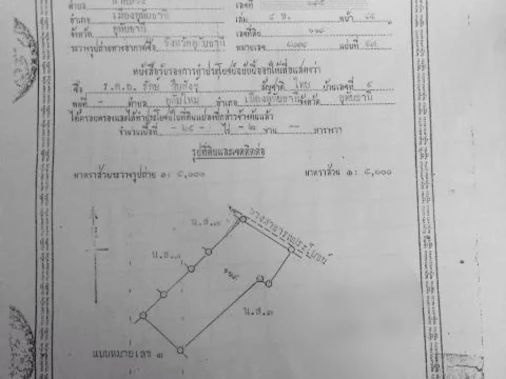 ขายที่ดิน 25 ไร่