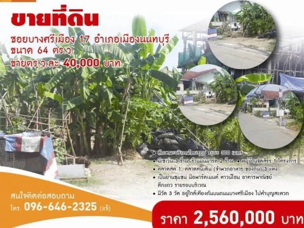 ที่ดิน 64 ตรว ๆ ละ 40000 บาท ซบางศรีเมือง17