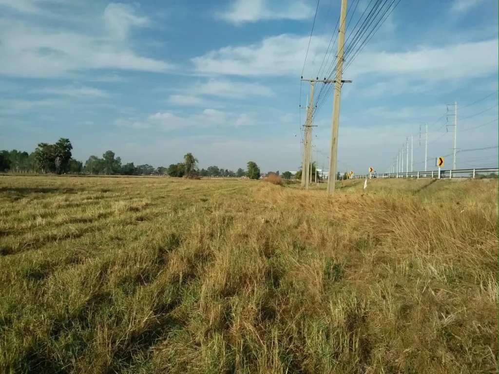 ขายที่ติดถนนใหญ่ สายสุรินทร์-ศรีษะเกษ