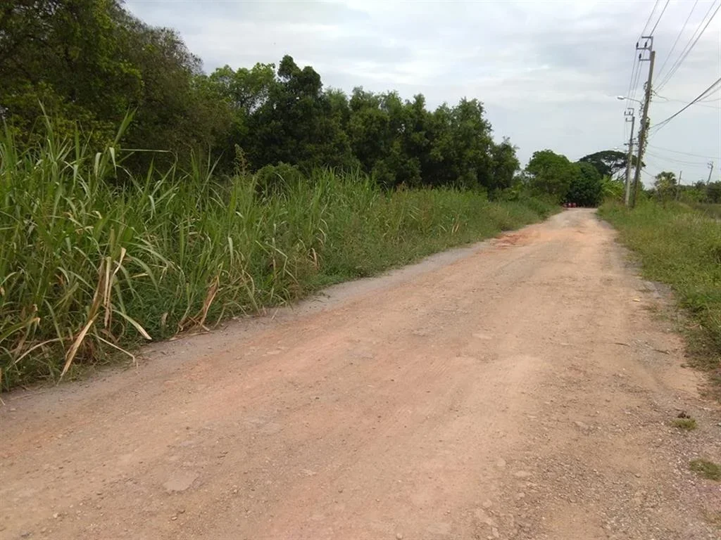 ที่ดินเปล่า พื้นที่ 5 ไร่ ถนนร่วมพัฒนา เขตหนองจอก ทำเลดี เข้าซอย 500 เมตร ด่วน