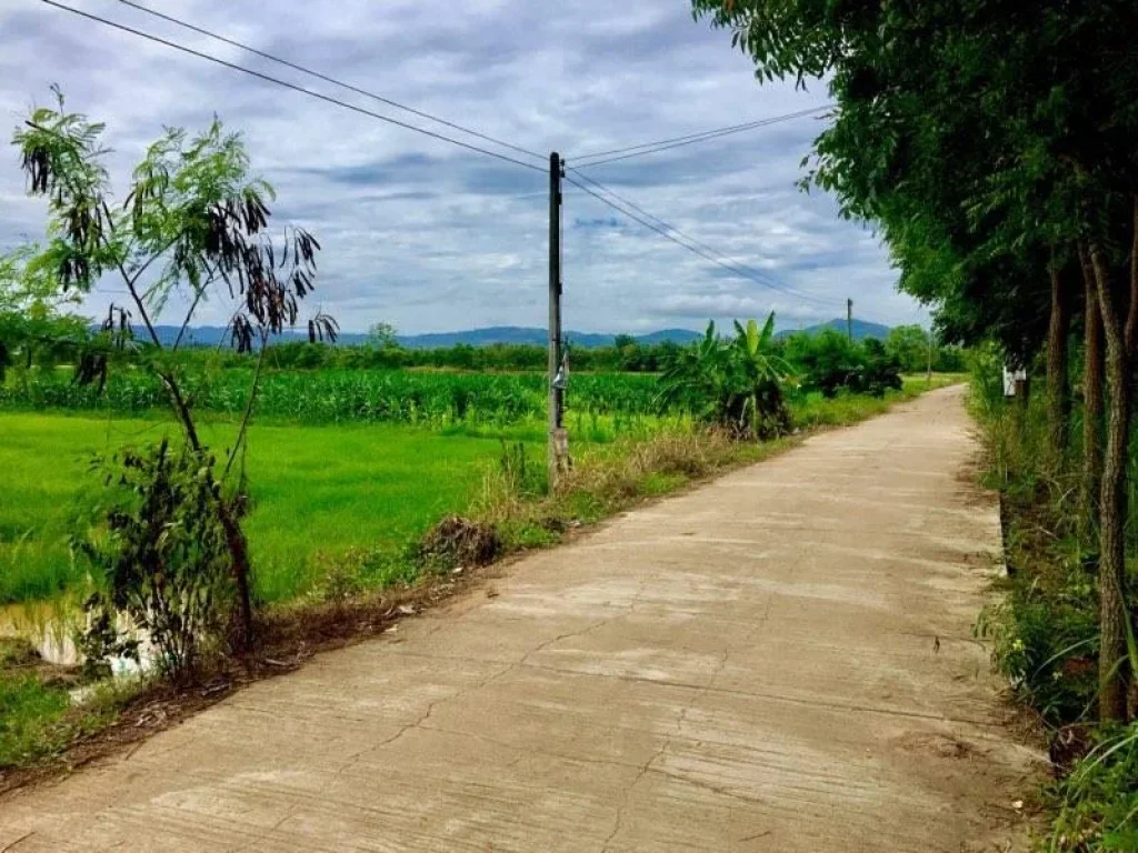 ขายที่ดินเพชรบูรณ์ 4 ไร่ โฉนด อเมืองเพชรบูรณ์