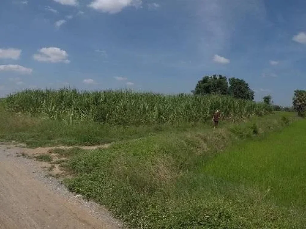 ขายที่ดินดอนเจดีย์ สุพรรณบุุรี