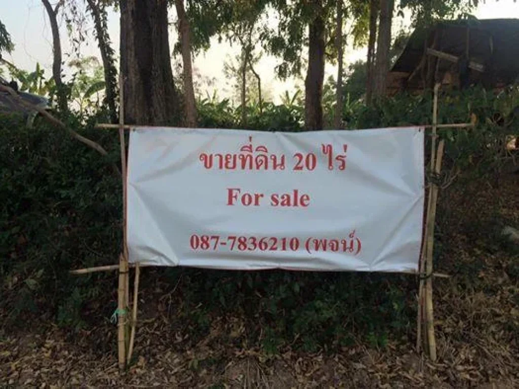 ต้องการขายที่ดิน 20 ไร่ติดถนน ติดด่านศุลกากร แห่งใหม่