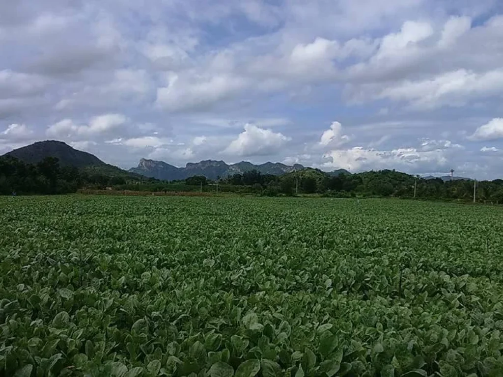 ที่ดินราคาถูกและสวย 40ไร่พร้อมบ้านพัก บรรยากาศดี อท่าม่วง จกาญจนบุรี ใกล้แนวเส้นทางหลวงพิเศษกาญจน์-น้ำพุร้อน